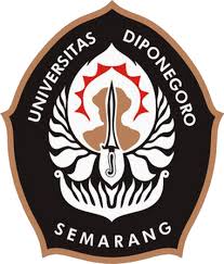 UNDIP